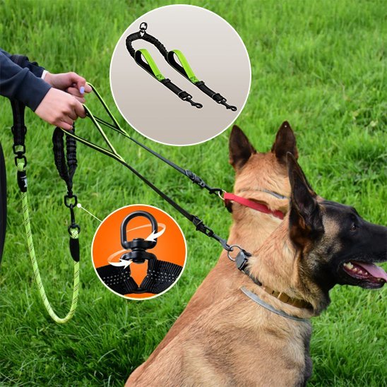 Double laisse pour chien | Duo - Control - Bob et Compagnie