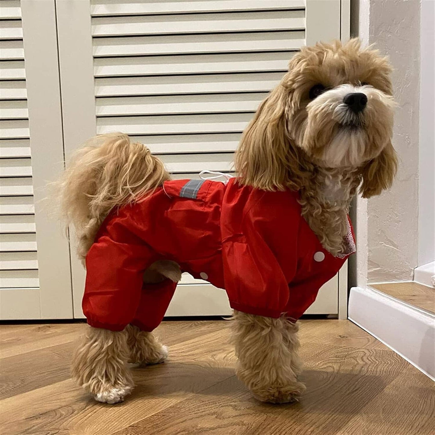 Manteau pour Chien - DogWaterproofCoat™ - Rouge - Bob et Compagnie