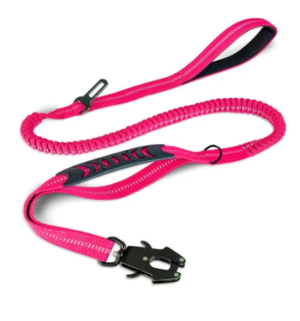 Laisse pour chien | Threedog