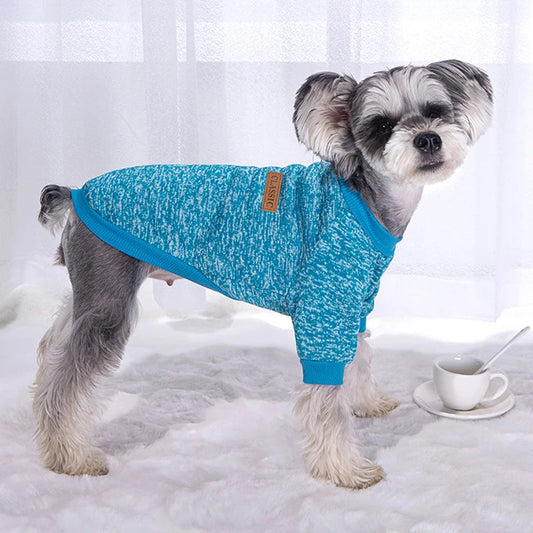 Manteau chien Chaud | WarmPaws