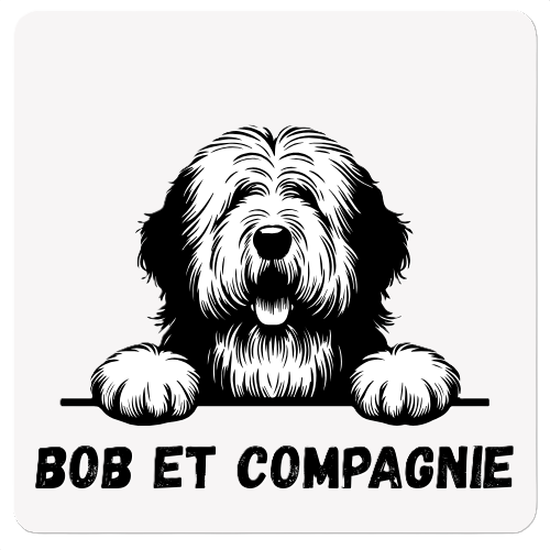 Bob et Compagnie