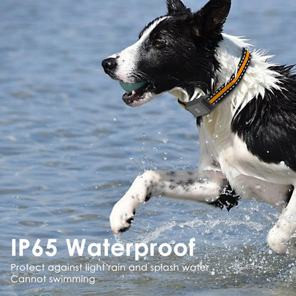 Collier GPS Chien | Traceur Aquaproof