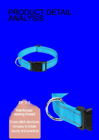 Collier pour chien | Robuste & Élégant