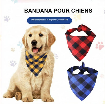 Bandana pour chien - Bob et Compagnie