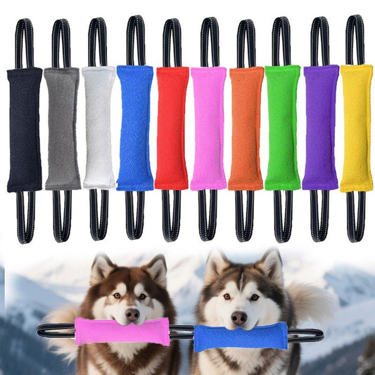 Baton de recompense pour chien | Nati - Bob et Compagnie