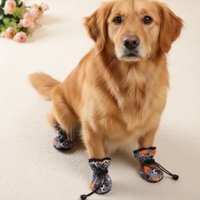 Chaussures pour Chien