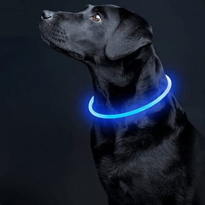 Collier Chien - DogCollarLight™ - Bleu - Bob et Compagnie