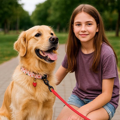 Collier chien | Robuste Élégant - Bob et Compagnie