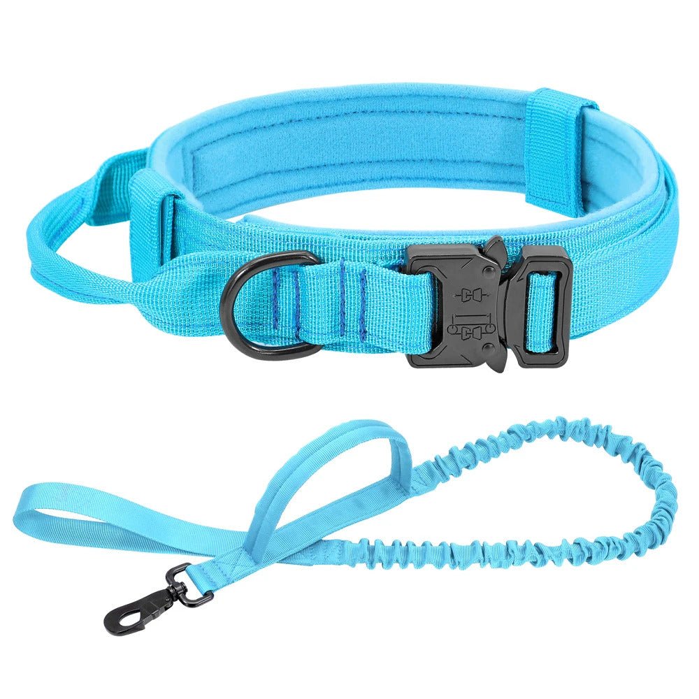 Collier + Laisse pour chien | ColorDog - Bob et Compagnie