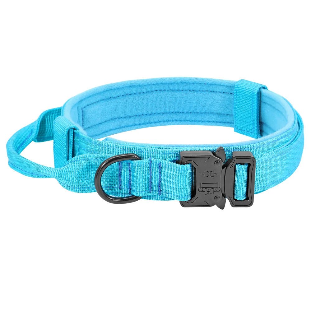 Collier pour chien Couleur | ColorDog - Bob et Compagnie