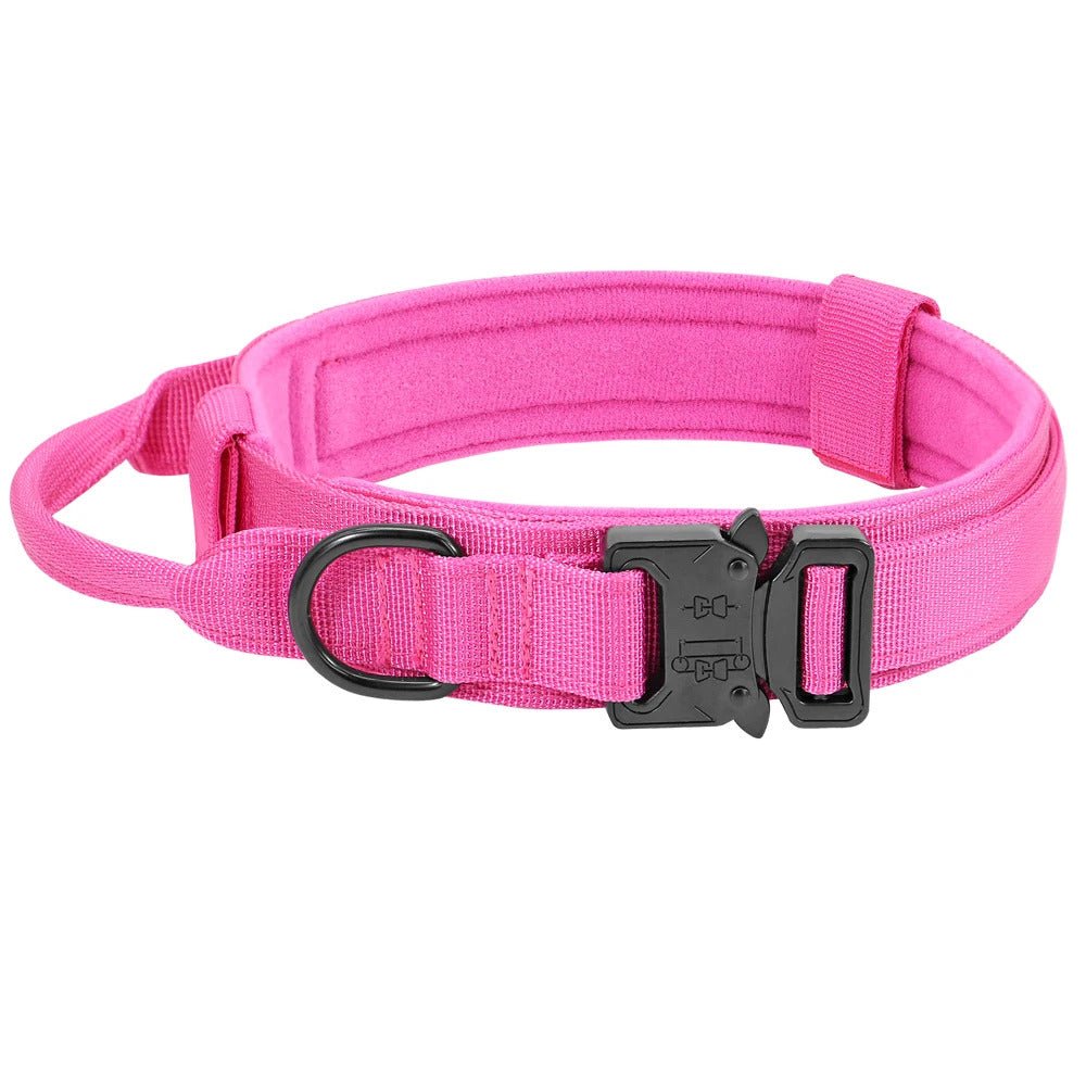 Collier pour chien Couleur | ColorDog - Bob et Compagnie