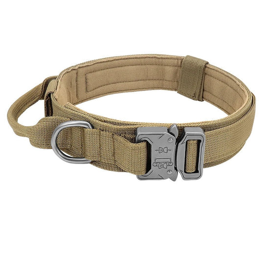 Collier pour chien | MilitaryDog - Bob et Compagnie