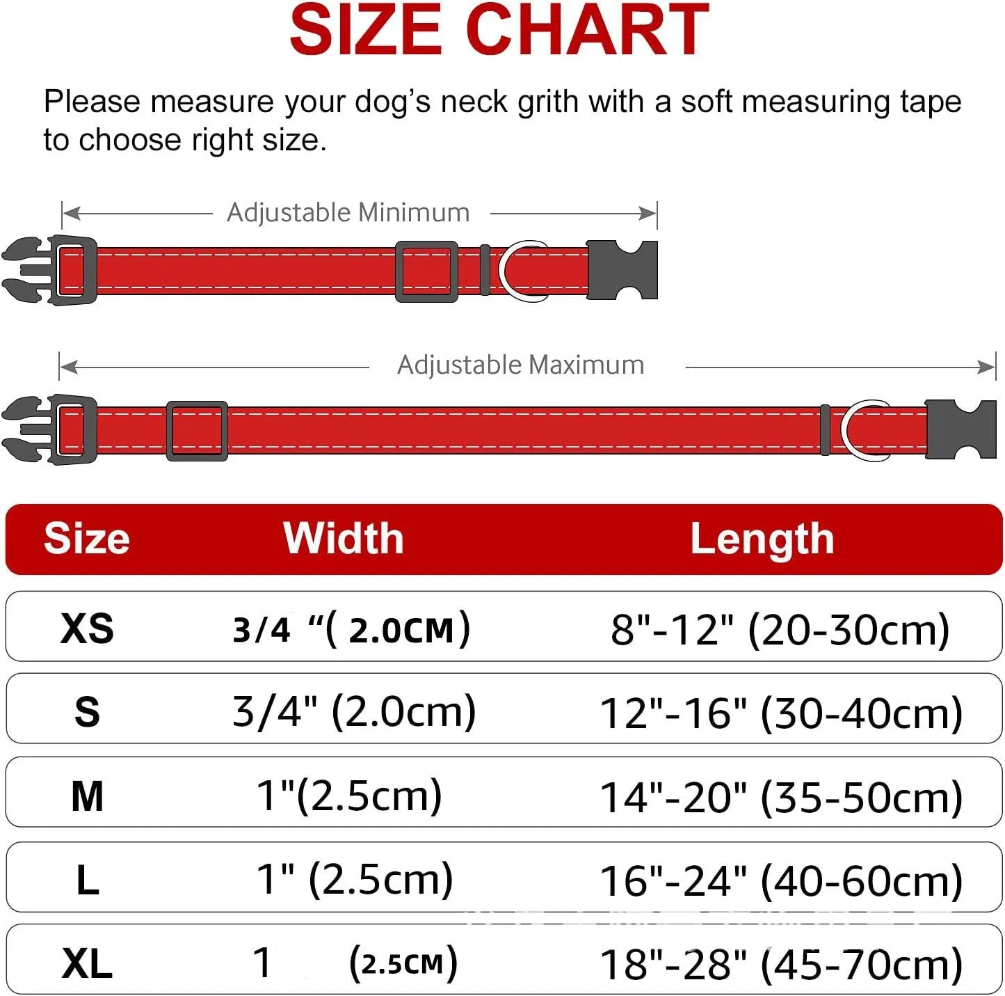 Collier pour chien | Robuste & Élégant - Bob et Compagnie