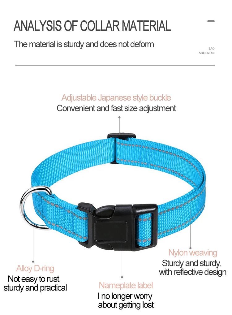 Collier pour chien | Robuste & Élégant - Bob et Compagnie