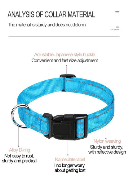 Collier pour chien | Robuste & Élégant - Bob et Compagnie