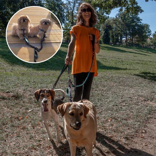 Double laisse pour chien | Duo - Control - Bob et Compagnie