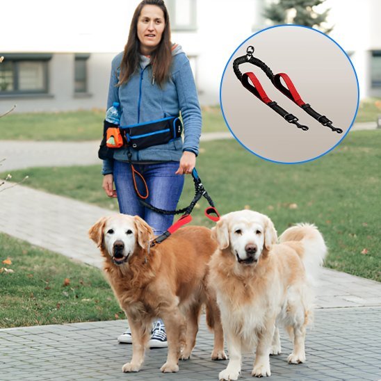 Double laisse pour chien | Duo - Control - Bob et Compagnie