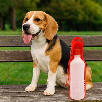 Gourde pour Chien | Nomade 2 - en - 1 Anti - Fuite 500ml - Bob et Compagnie