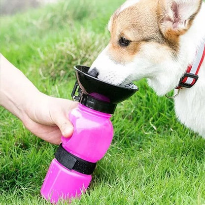 Gourde pour chien | Portable 2 - en - 1 - Bob et Compagnie