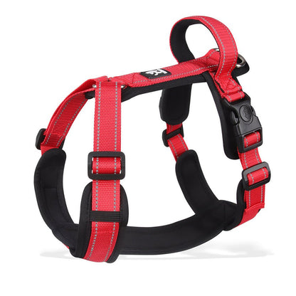 |harnais chien |Dog Leash - Bob et Compagnie