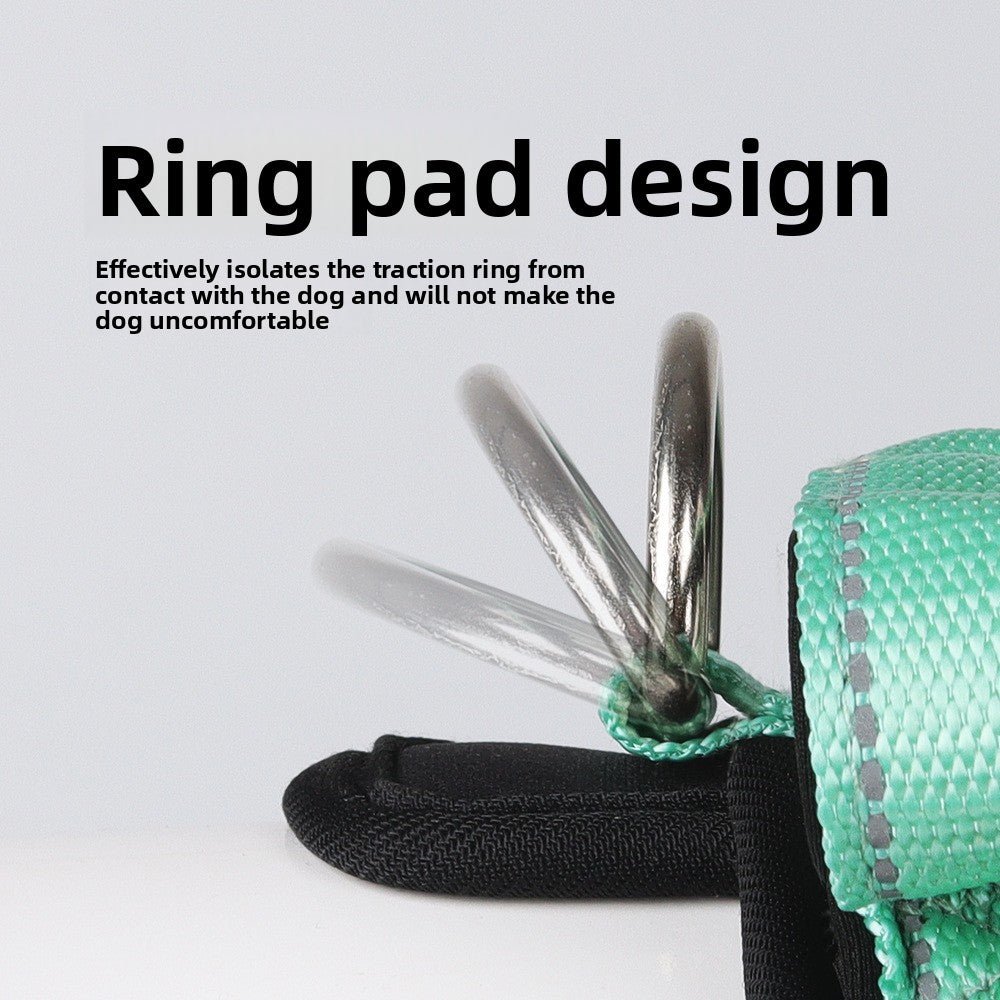 |harnais chien |Dog Leash - Bob et Compagnie