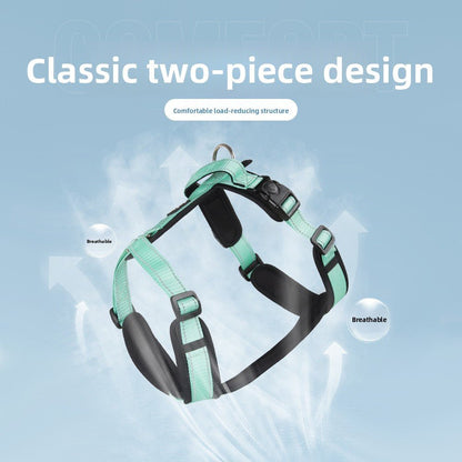 |harnais chien |Dog Leash - Bob et Compagnie