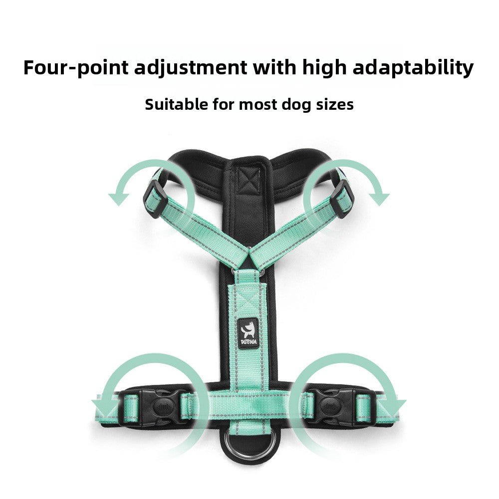 |harnais chien |Dog Leash - Bob et Compagnie