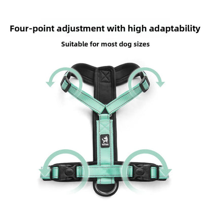 |harnais chien |Dog Leash - Bob et Compagnie