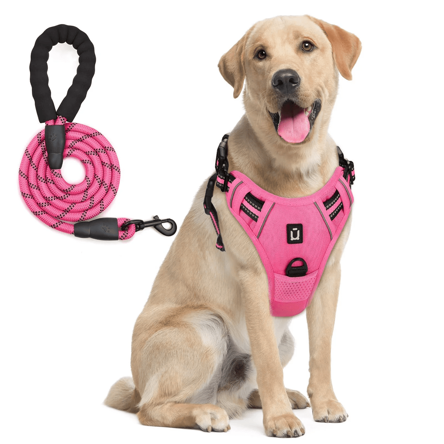 Harnais et laisse pour chien de couleur rose portés par un chien de type labrador.