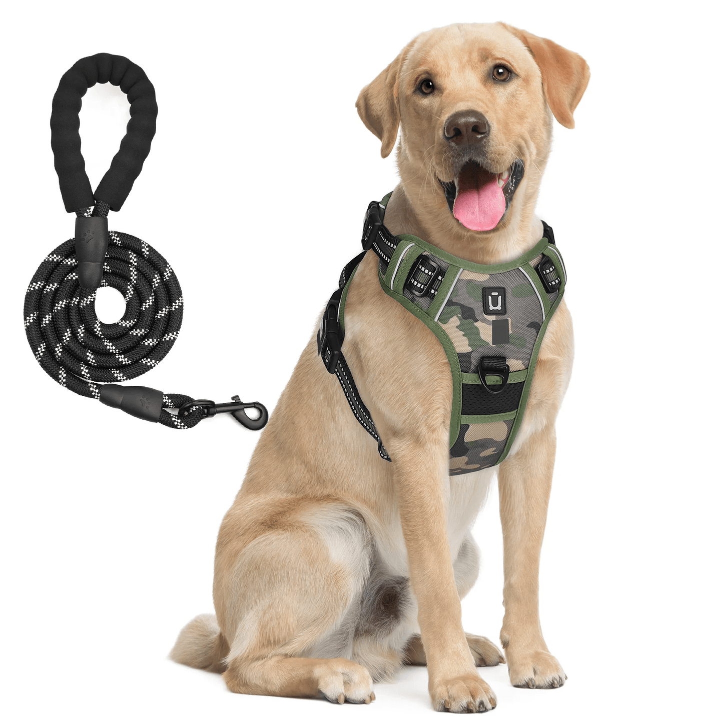 Harnais pour chien à motif camouflage vert avec sa laisse en corde noire assortie.
