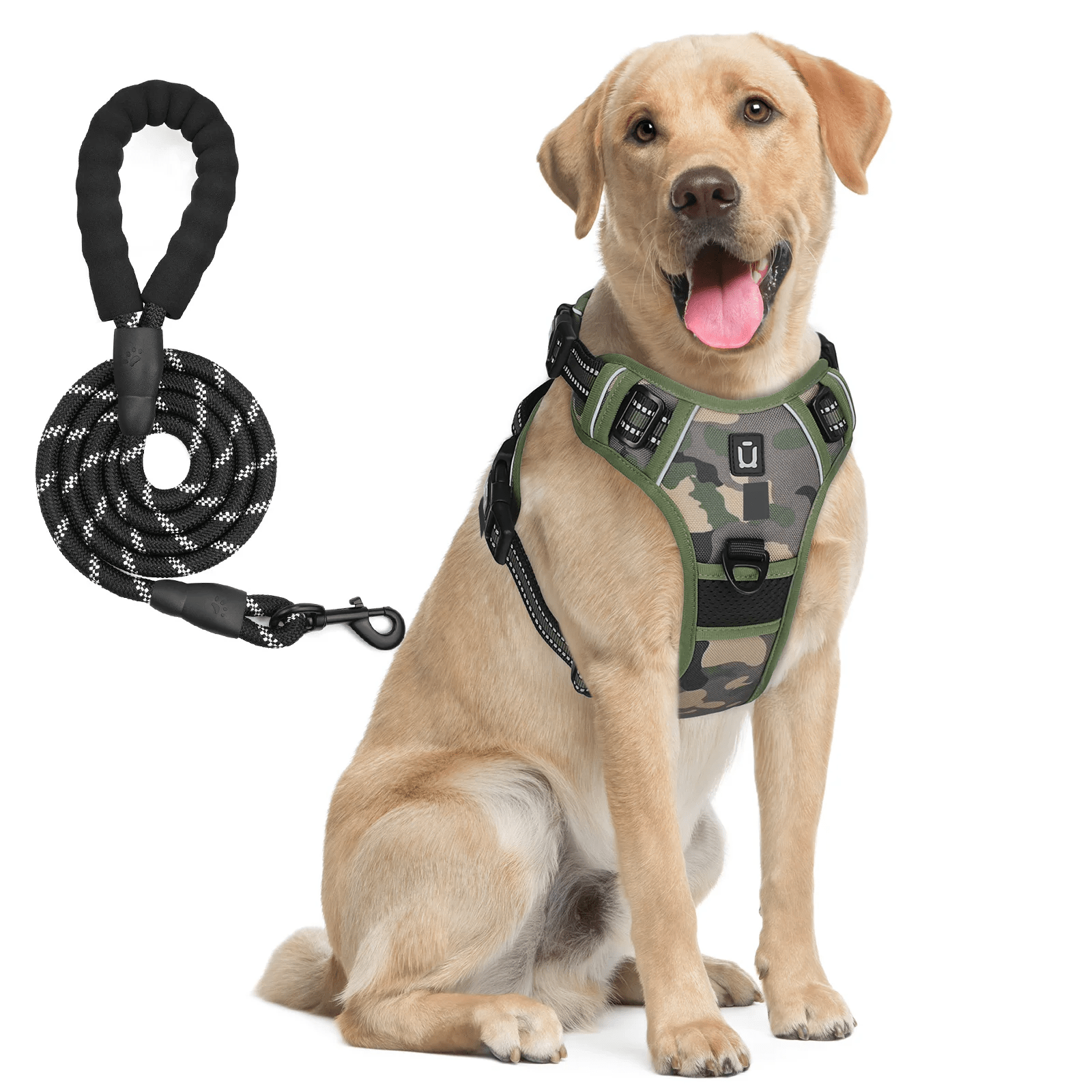 Harnais pour chien à motif camouflage vert avec sa laisse en corde noire assortie.