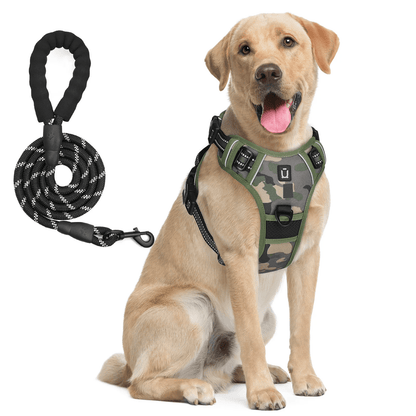 Harnais pour chien à motif camouflage vert avec sa laisse en corde noire assortie.