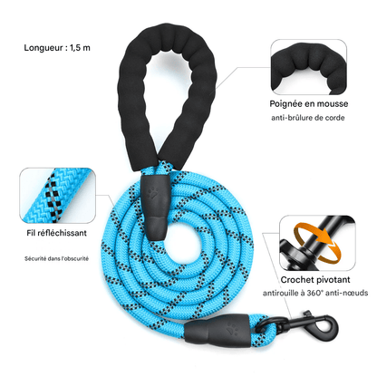 Laisse pour chien bleue en corde tressée avec poignée en mousse et fil réfléchissant.