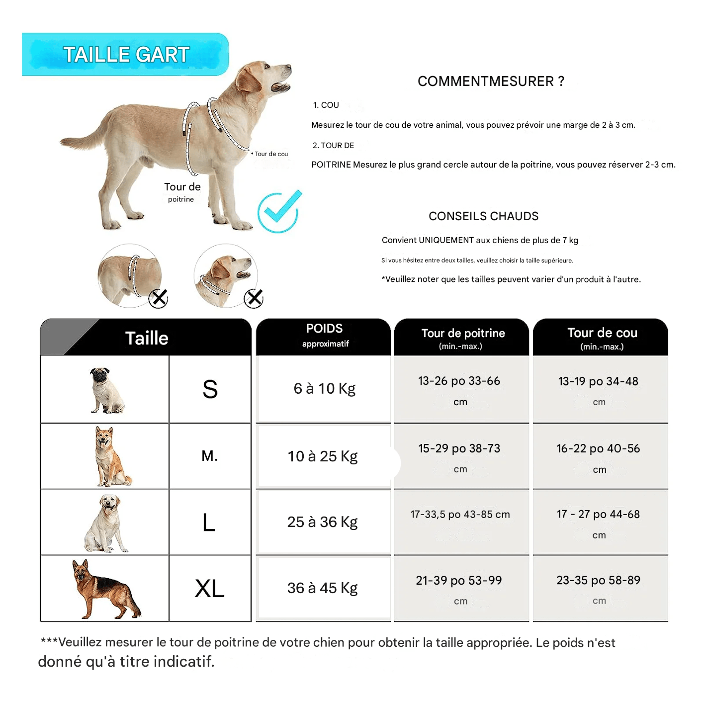 Guide des tailles pour harnais de chien avec mesures de cou, poitrine et poids par catégorie.
