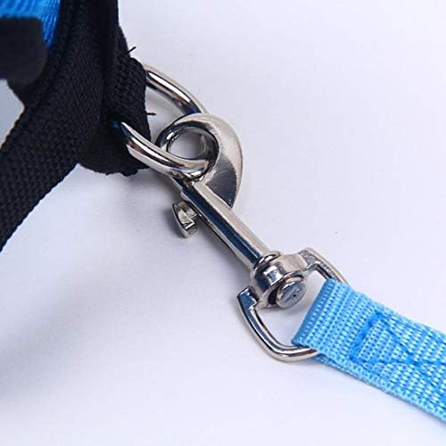 Harnais Petit Chien - DogHarnessLeadLeash™ - Bleu - Bob et Compagnie