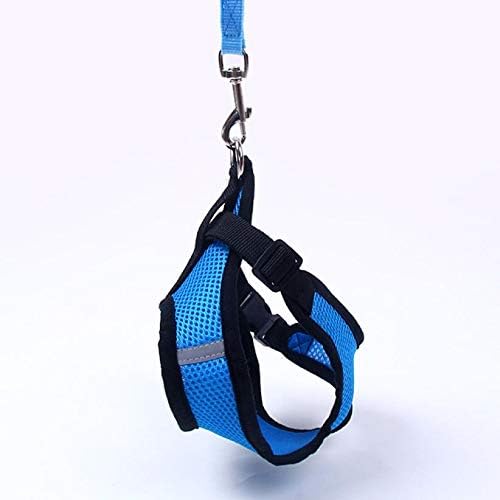 Harnais Petit Chien - DogHarnessLeadLeash™ - Bleu - Bob et Compagnie