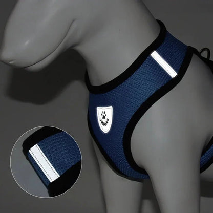 Harnais Petit Chien - DogHarnessLeadLeash™ - Bleu - Bob et Compagnie