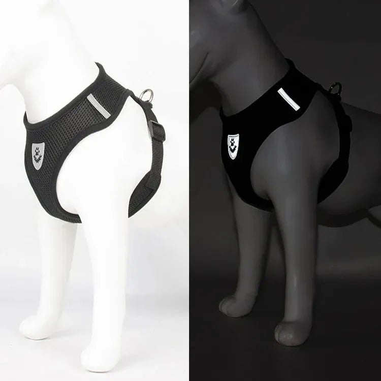 Harnais Petit Chien - DogHarnessLeadLeash™ - Noir - Bob et Compagnie