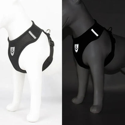 Harnais Petit Chien - DogHarnessLeadLeash™ - Noir - Bob et Compagnie