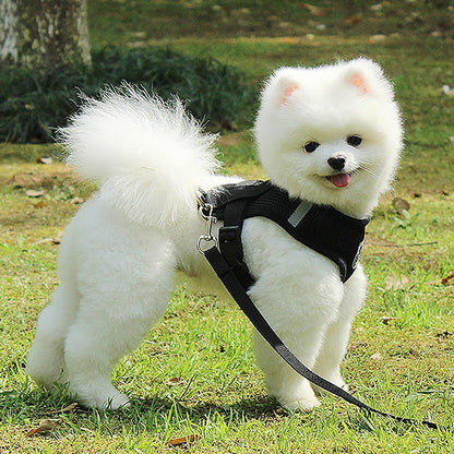 Harnais Petit Chien - DogHarnessLeadLeash™ - Noir - Bob et Compagnie