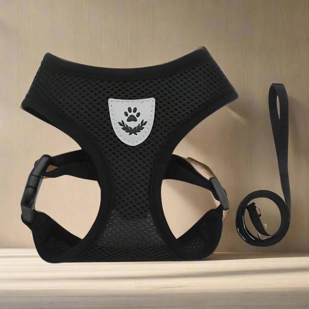 Harnais Petit Chien - DogHarnessLeadLeash™ - Noir - Bob et Compagnie