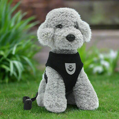 Harnais Petit Chien - DogHarnessLeadLeash™ - Noir - Bob et Compagnie