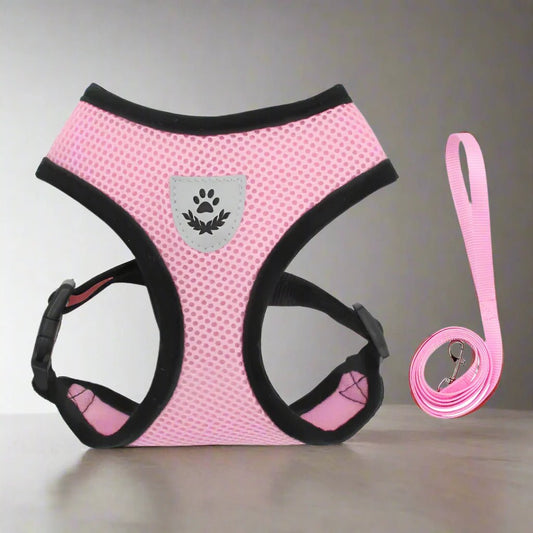 Harnais Petit Chien - DogHarnessLeadLeash™ - Rose - Bob et Compagnie
