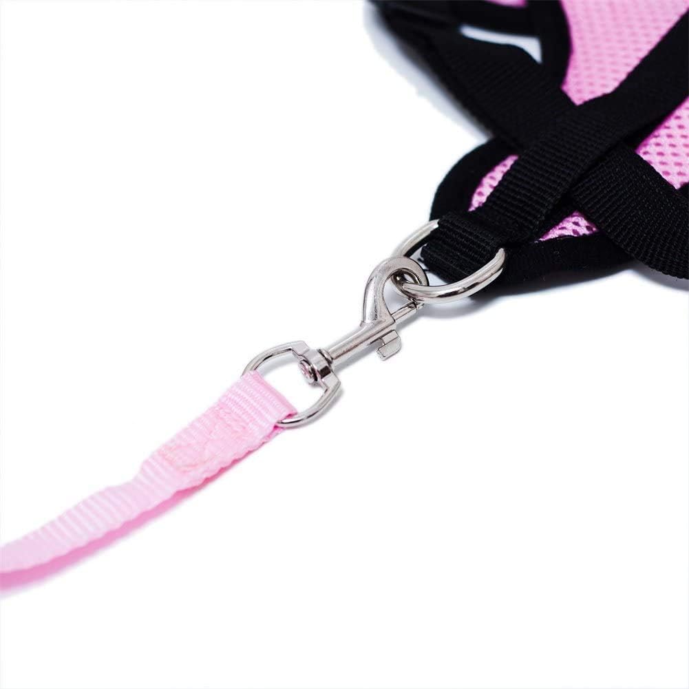 Harnais Petit Chien - DogHarnessLeadLeash™ - Rose - Bob et Compagnie