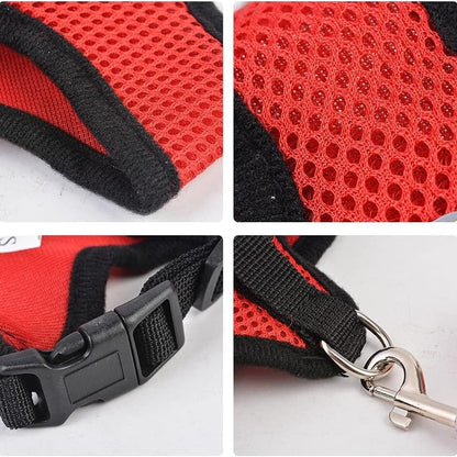 Harnais Petit Chien - DogHarnessLeadLeash™ - Rouge - Bob et Compagnie