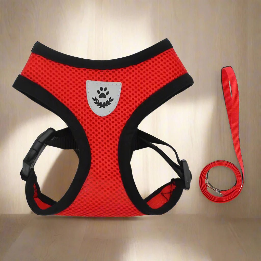 Harnais Petit Chien - DogHarnessLeadLeash™ - Rouge - Bob et Compagnie