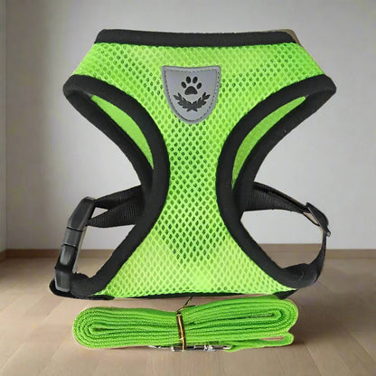 Harnais Petit Chien - DogHarnessLeadLeash™ - Vert - Bob et Compagnie