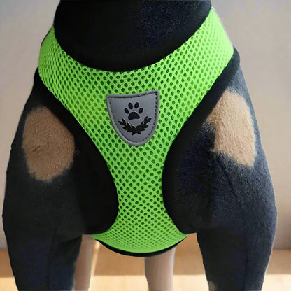 Harnais Petit Chien - DogHarnessLeadLeash™ - Vert - Bob et Compagnie