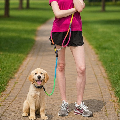 Laisse chien main libre | FreedomPaws - Bob et Compagnie