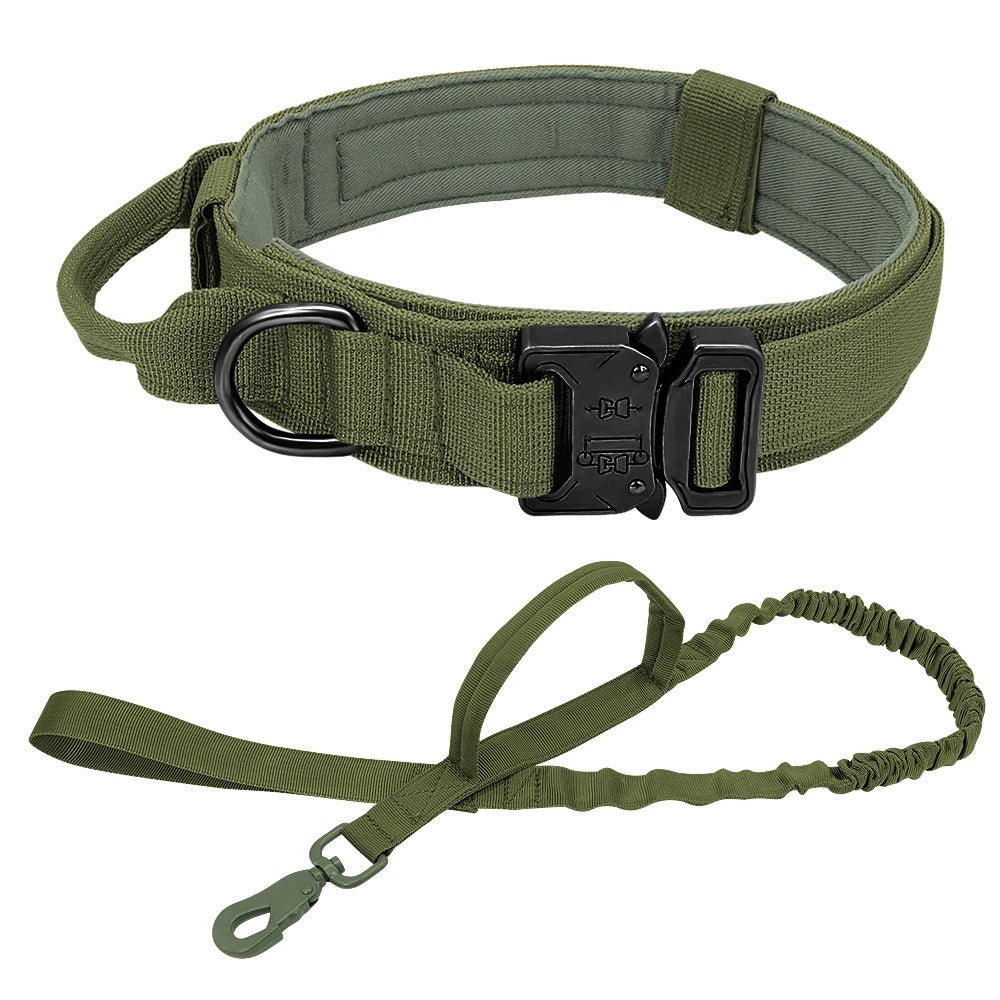 Laisse Collier pour chien | MilitaryDog - Bob et Compagnie